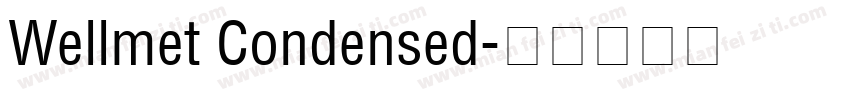 Wellmet Condensed字体转换